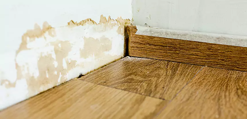 Professional Fix Water Damaged Wood Services in Redan, GA